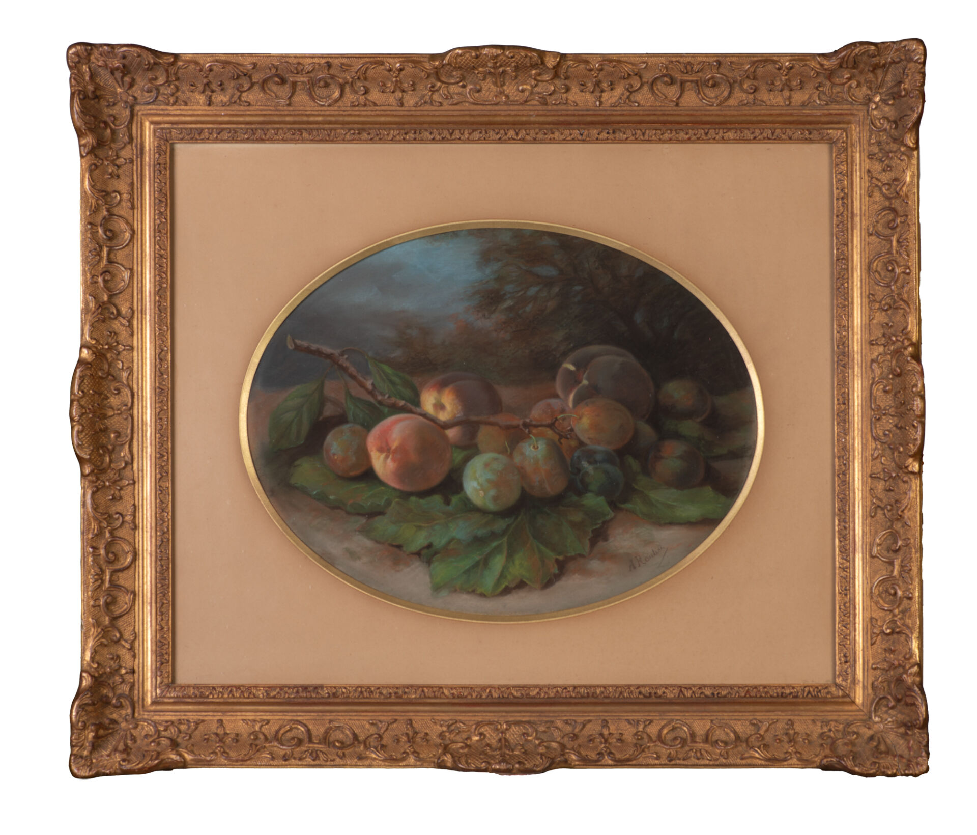 Placeholder image